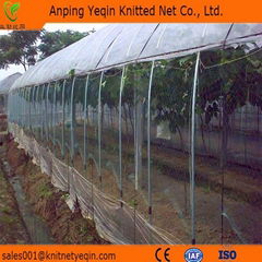 Orchards Anti Bird Net