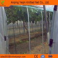 China HDPE Anti-Bird Net 3