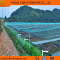 China HDPE Anti-Bird Net 4