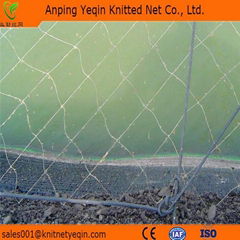 Bird Net