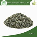 2016 new products Chinese loose green tea chunmee tea 41022 AAAA to Africa