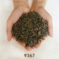 Chinese factory supply chunmee green tea 9367 1