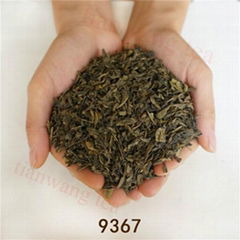 Chinese factory supply chunmee green tea 9367