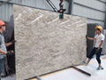 Fantasy Platinum Granite Slab