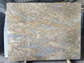 Golden Dream Granite Slab 4