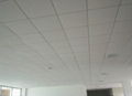 PVC Gypsum Ceiling Tiles 595X595mm 4