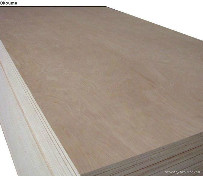 Commercial Plywood in Better Quality 5