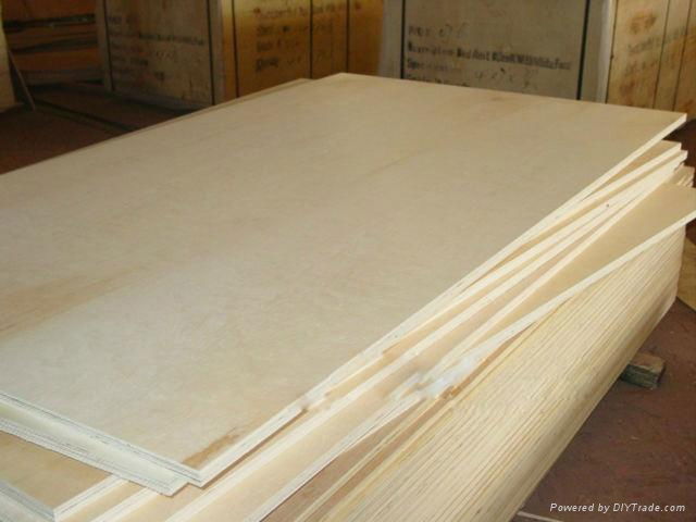 Carb Birch Plywood 2