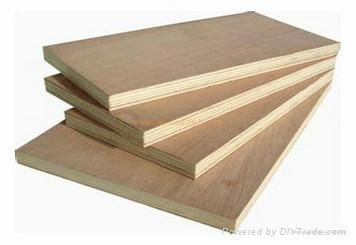 Hardwood Face Combi Core Commercial Plywood