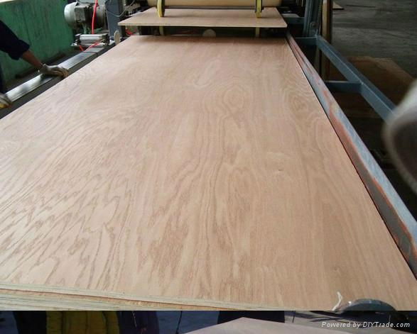 Hardwood Face Combi Core Commercial Plywood 3