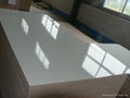 Full Hardwood Core E1 Grade White Color HPL Plywood