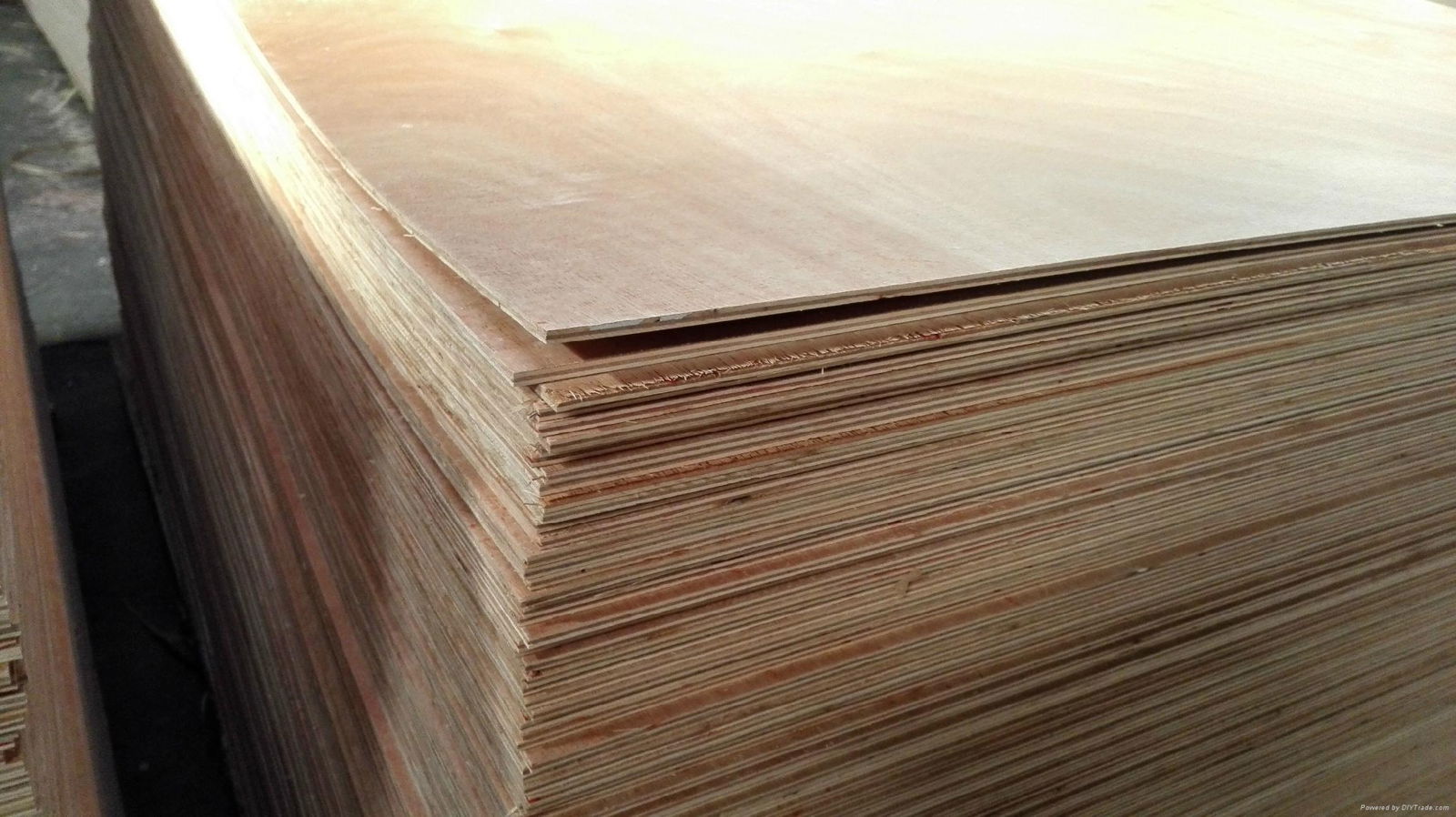 Packing Plywood 5