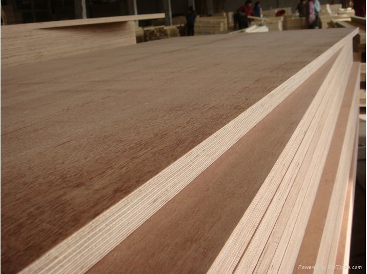 Plywood with competitive price