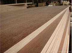 Plywood with competitive price