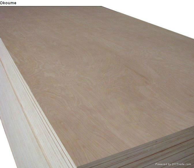 WATER PROOF PLYWOOD 2