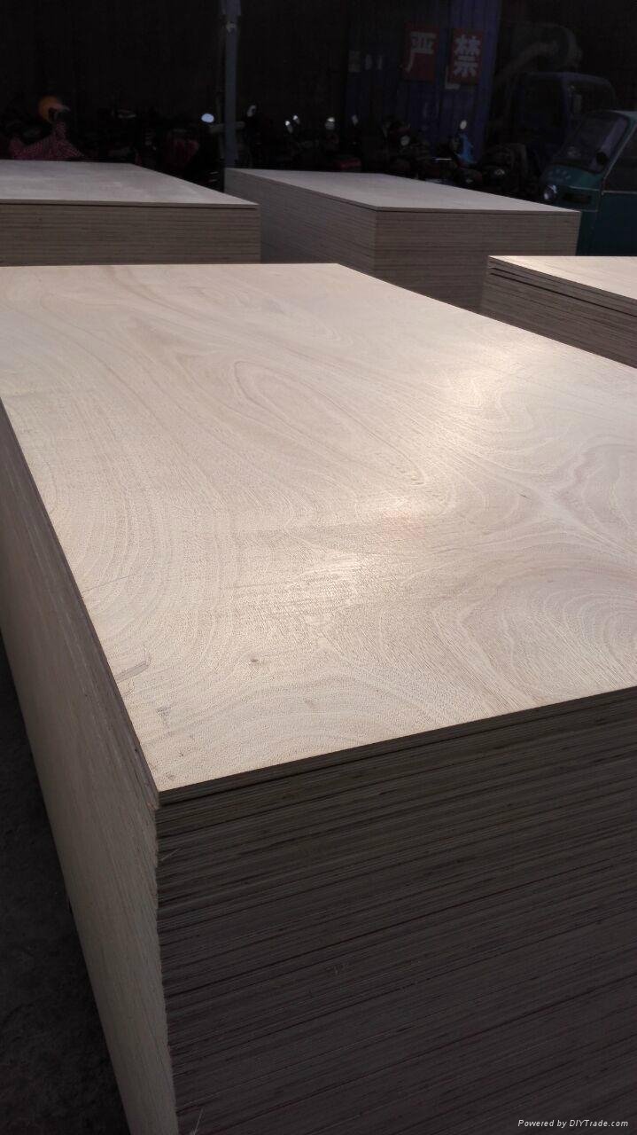 High quality cheap price grade BB/CC plywood