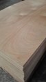 High quality cheap price grade BB/CC plywood 3