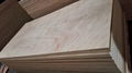 High quality cheap price grade BB/CC plywood 5