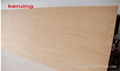 12mm 18mm thick plywood 1