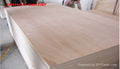 12mm 18mm thick plywood 3