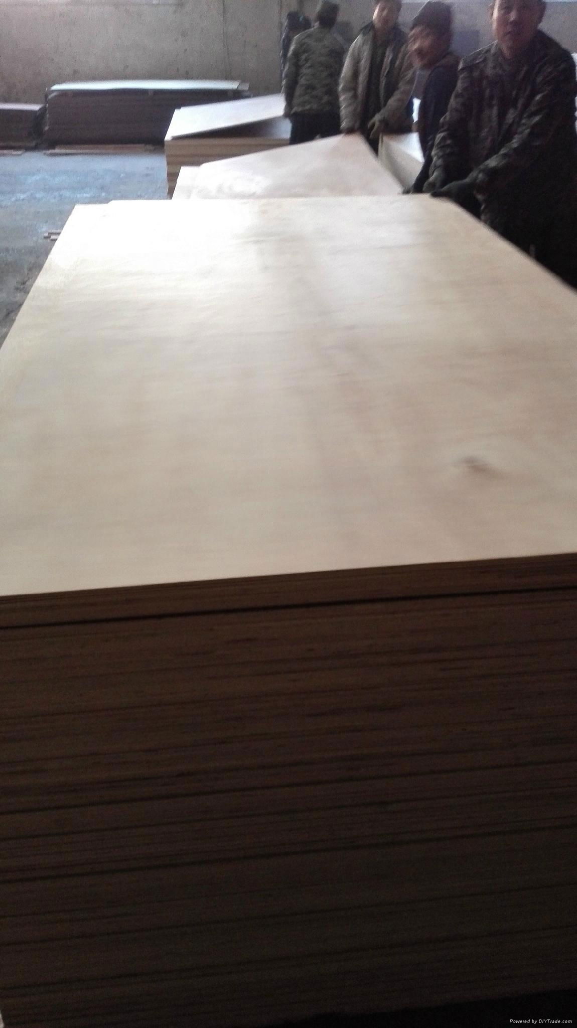 Furniture grade E1 glue 1220x2440mm birch plywood 3