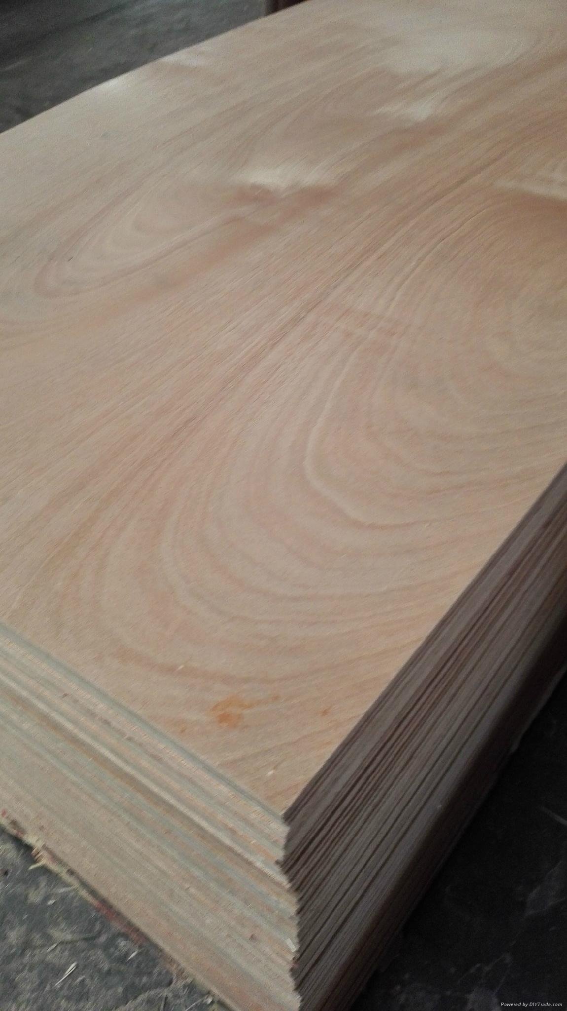 Furniture grade E1 glue 1220x2440mm birch plywood 4