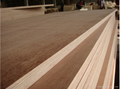 Linyi 4x8 cheap price plywood for furniture used