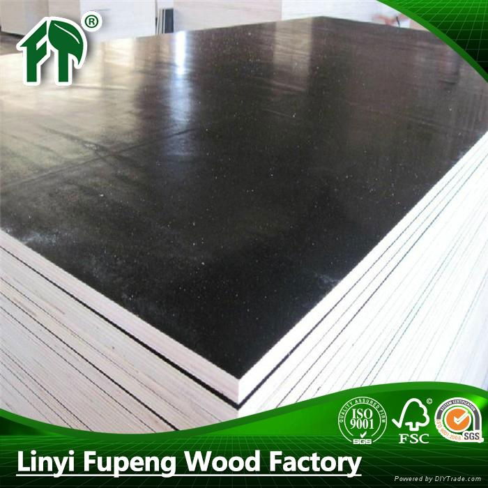 China supplier for cheap film faced plywood 5