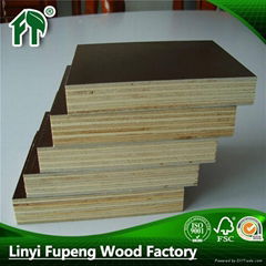 cheap price building material plywood for construction