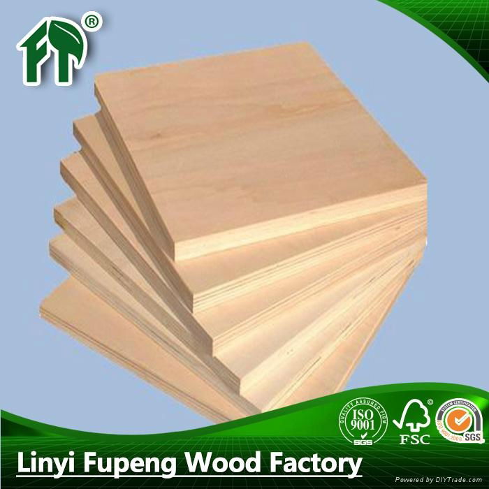 cheap price all sizes plywood 5