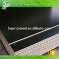 Linyi manufacturer supply hot sale plywood for construction 