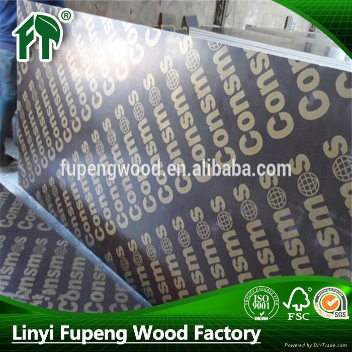 Linyi manufacturer supply hot sale plywood for construction  3