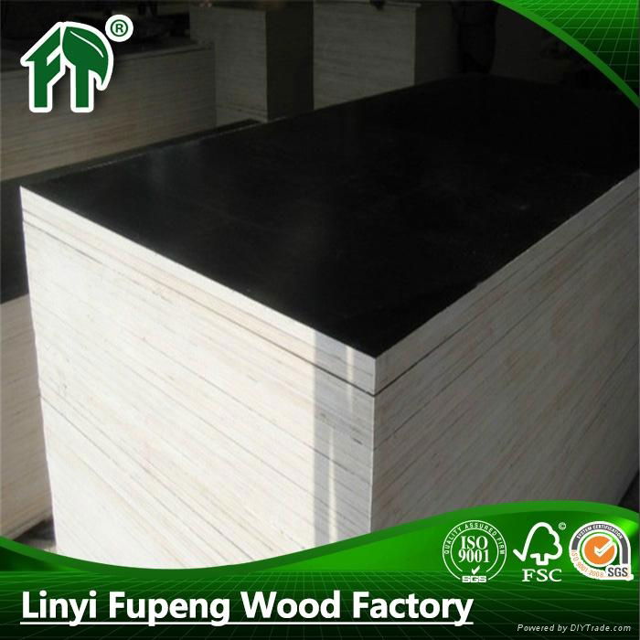 Linyi manufacturer supply hot sale plywood for construction  4