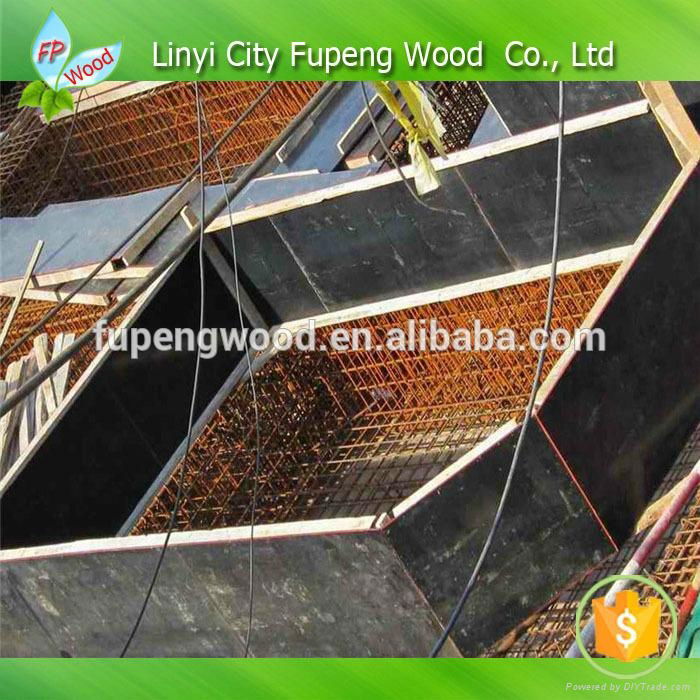 Linyi manufacturer supply hot sale plywood for construction  5