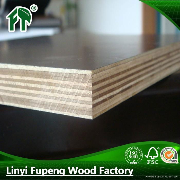 cheap price all sizes construction plywood  3