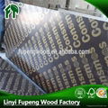 Linyi factory supply cheap price plywood for construction  5