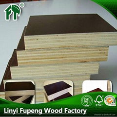 hot salefactory supply 15mm film faced plywood poplar core