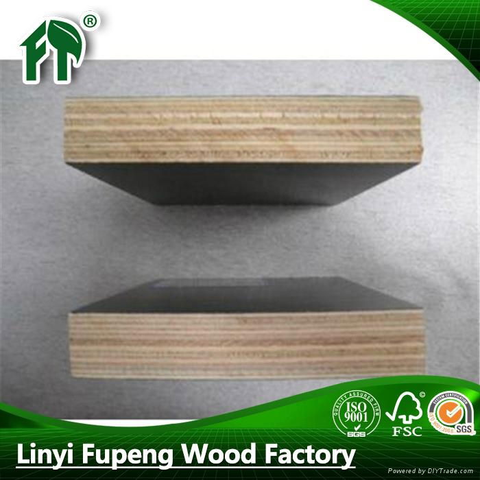 hot salefactory supply 15mm film faced plywood poplar core 2