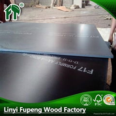 cheap price 1220x2440mm poplar 16mm plywood for construction