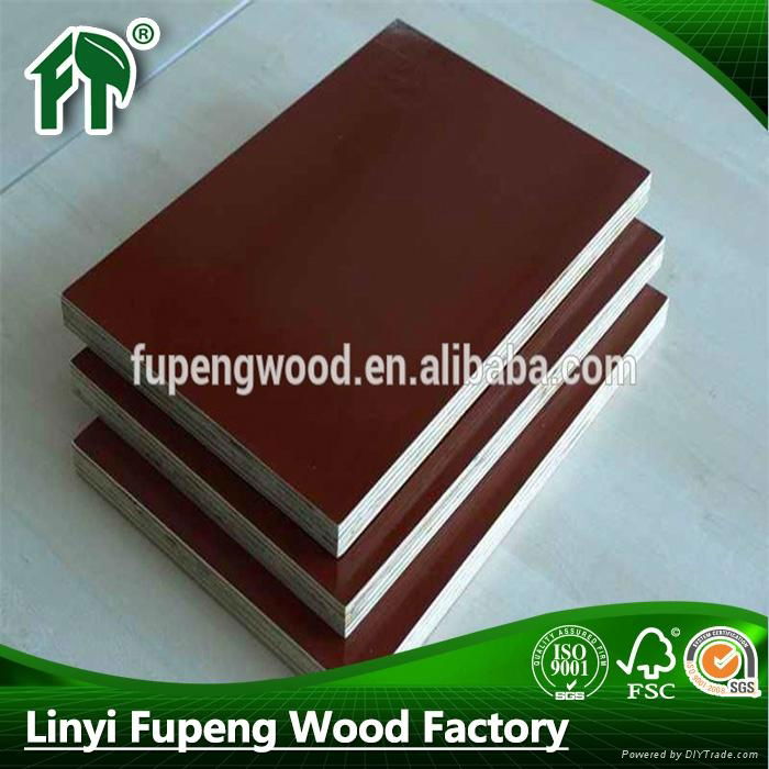 18mm 1220x2440mm melamine film faced plywood 