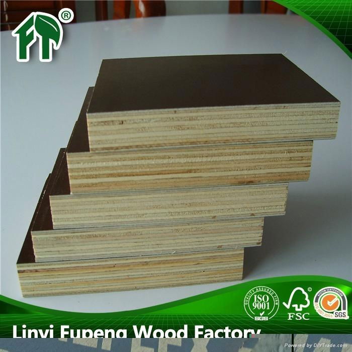 18mm 1220x2440mm melamine film faced plywood  4