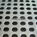 Perforated Mesh