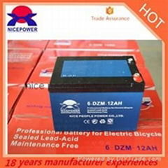 6-DZM-12 E-Bike Battery