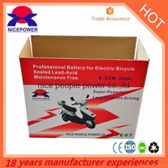 6-DZM-20 E-Bike Battery