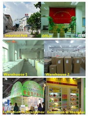 Shenzhen Minrui Adhesive Products Co. Ltd