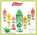 2016 FDA HACCP HOUSSY 500ml natural aloe vera drink 4