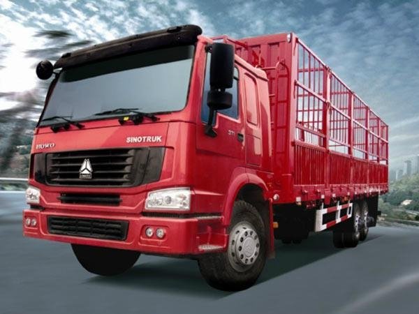 HOWO 6X4 Cargo Truck with Flat Cab 336 HP