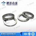 Tungsten Carbide Seal Rings 1