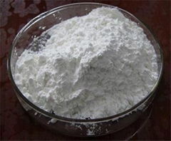 modified starch