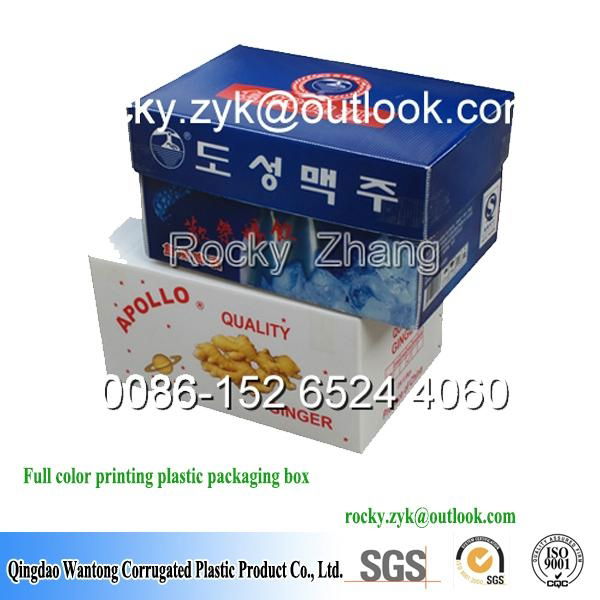 PP corrugaed box corflute box carton 2